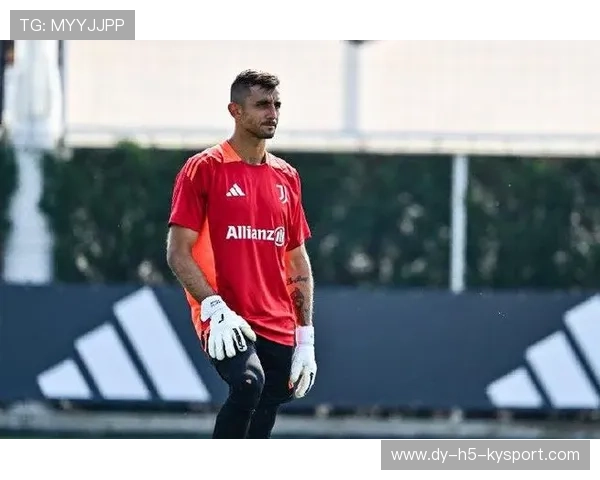 尤文佩林伸展动作极快